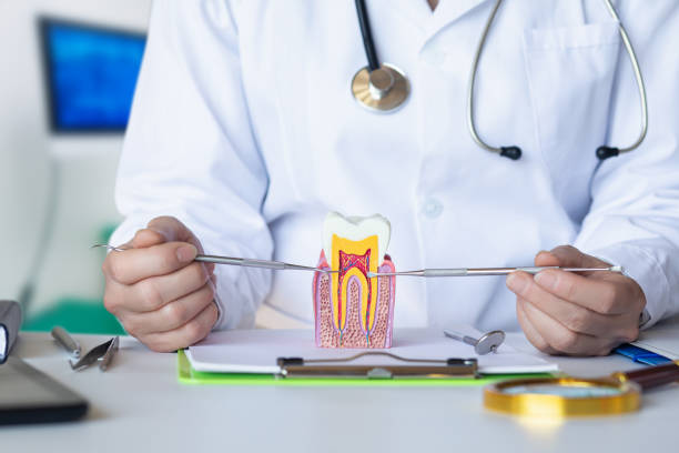 Best Emergency Treatment for Toothache in Argos, IN